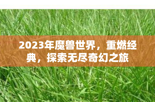2023年魔兽世界，重燃经典，探索无尽奇幻之旅