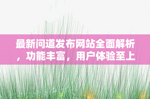 最新问道发布网站全面解析，功能丰富，用户体验至上