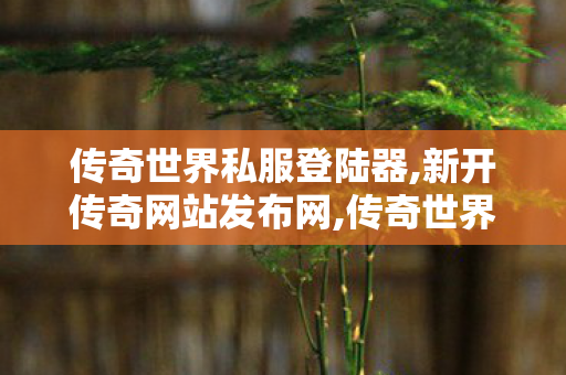 传奇世界私服登陆器,新开传奇网站发布网,传奇世界伺服,新开传奇网站发布网