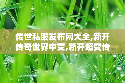 传世私服发布网大全,新开传奇世界中变,新开超变传世私服,新开传奇世界中变