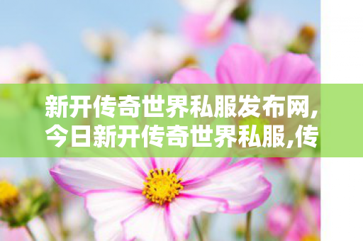 新开传奇世界私服发布网,今日新开传奇世界私服,传世开服网,今日新开传奇世界私服