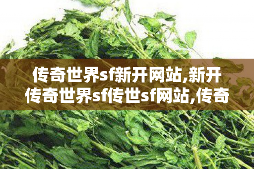 传奇世界sf新开网站,新开传奇世界sf传世sf网站,传奇世界私服,传世私服网,新开传奇世界sf传世sf网站