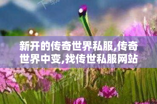 新开的传奇世界私服,传奇世界中变,找传世私服网站,传奇世界中变