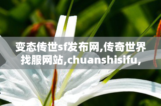 变态传世sf发布网,传奇世界找服网站,chuanshisifu,传奇世界找服网站
