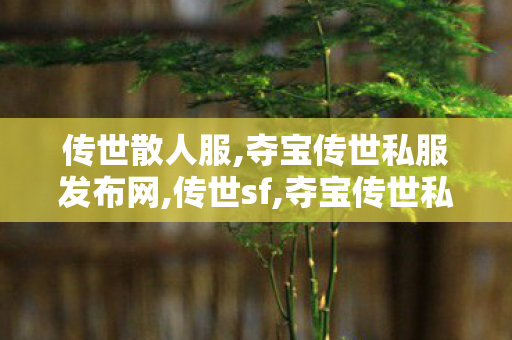 传世散人服,夺宝传世私服发布网,传世sf,夺宝传世私服发布网