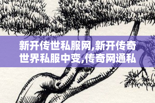 新开传世私服网,新开传奇世界私服中变,传奇网通私服发布网,新开传奇世界私服中变