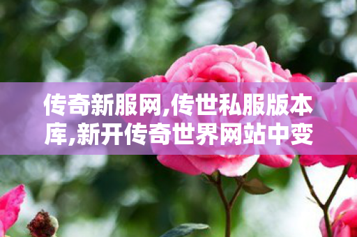 传奇新服网,传世私服版本库,新开传奇世界网站中变私服,传世私服版本库