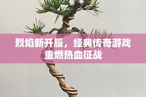 烈焰新开服，经典传奇游戏重燃热血征战