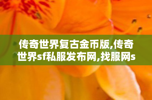 传奇世界复古金币版,传奇世界sf私服发布网,找服网sf,传奇世界sf私服发布网