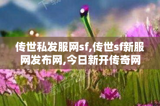 传世私发服网sf,传世sf新服网发布网,今日新开传奇网站发布网,传世sf新服网发布网