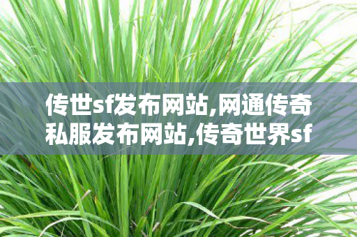 传世sf发布网站,网通传奇私服发布网站,传奇世界sf发布网0,网通传奇私服发布网站