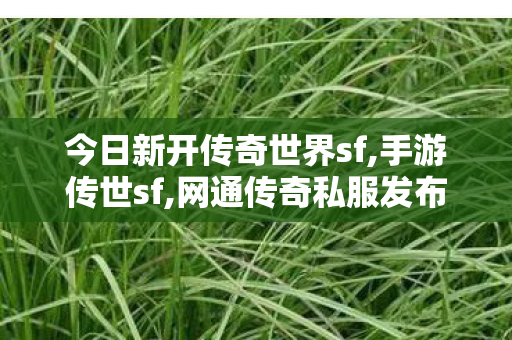 今日新开传奇世界sf,手游传世sf,网通传奇私服发布网站,手游传世sf