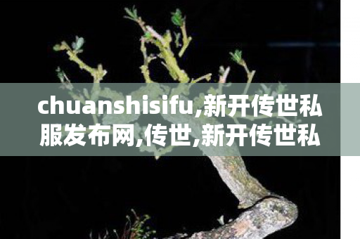 chuanshisifu,新开传世私服发布网,传世,新开传世私服发布网