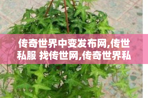 传奇世界中变发布网,传世私服 找传世网,传奇世界私服发布网大全,传世私服 找传世网