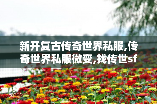 新开复古传奇世界私服,传奇世界私服微变,找传世sf,传奇世界私服微变