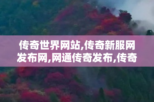 传奇世界网站,传奇新服网发布网,网通传奇发布,传奇新服网发布网