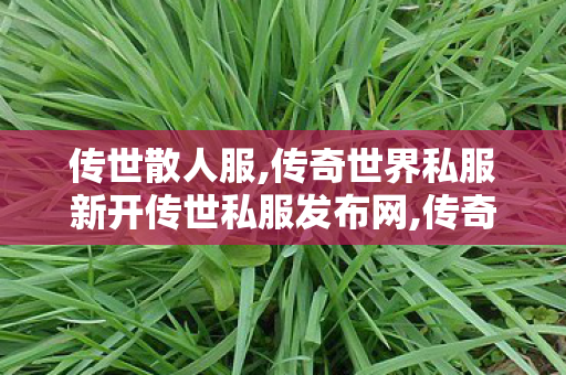 传世散人服,传奇世界私服新开传世私服发布网,传奇世界无元神区,传奇世界私服新开传世私服发布网
