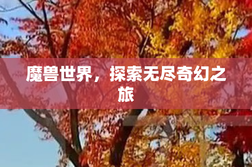 魔兽世界，探索无尽奇幻之旅