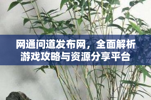 网通问道发布网，全面解析游戏攻略与资源分享平台
