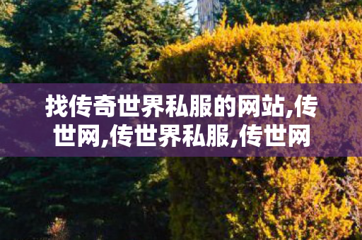 找传奇世界私服的网站,传世网,传世界私服,传世网