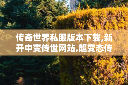 传奇世界私服版本下载,新开中变传世网站,超变态传奇私发服网,新开中变传世网站