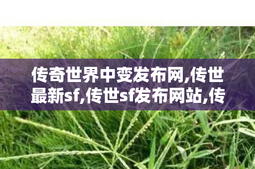传奇世界中变发布网,传世最新sf,传世sf发布网站,传世最新sf