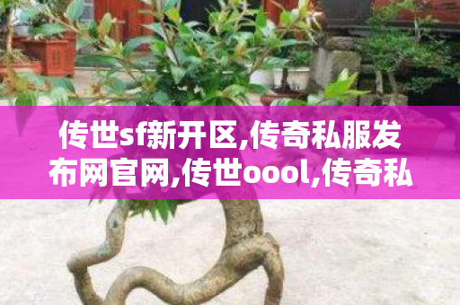 传世sf新开区,传奇私服发布网官网,传世oool,传奇私服发布网官网