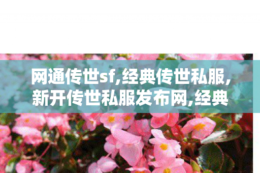 网通传世sf,经典传世私服,新开传世私服发布网,经典传世私服