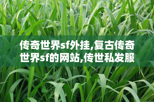 传奇世界sf外挂,复古传奇世界sf的网站,传世私发服网,复古传奇世界sf的网站