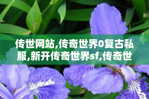 传世网站,传奇世界0复古私服,新开传奇世界sf,传奇世界0复古私服