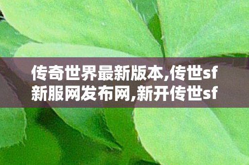 传奇世界最新版本,传世sf新服网发布网,新开传世sf发布网,传世sf新服网发布网
