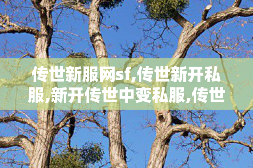 传世新服网sf,传世新开私服,新开传世中变私服,传世新开私服
