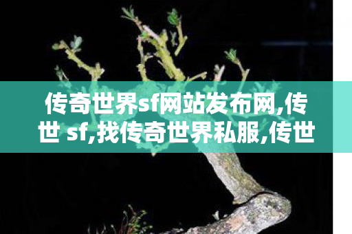 传奇世界sf网站发布网,传世 sf,找传奇世界私服,传世 sf