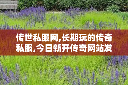 传世私服网,长期玩的传奇私服,今日新开传奇网站发布网,长期玩的传奇私服