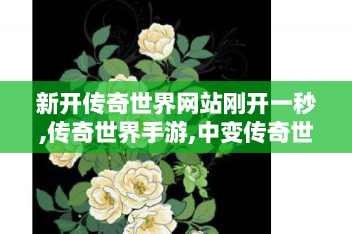 新开传奇世界网站刚开一秒,传奇世界手游,中变传奇世界私服,传奇世界手游