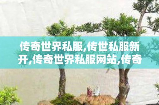 传奇世界私服,传世私服新开,传奇世界私服网站,传奇世界0复古私服,传奇世界私服网站