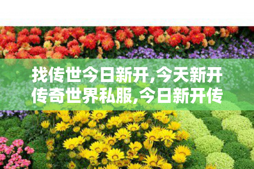 找传世今日新开,今天新开传奇世界私服,今日新开传世sf,今天新开传奇世界私服