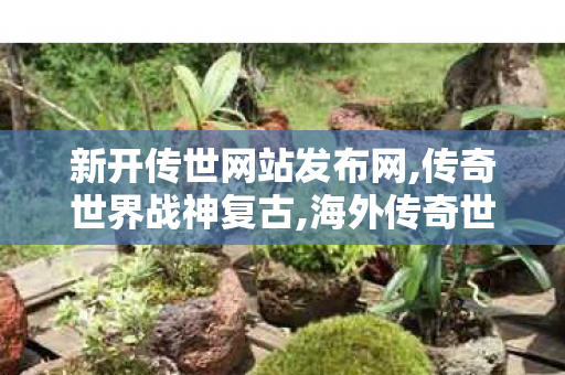 新开传世网站发布网,传奇世界战神复古,海外传奇世界私服,传奇世界战神复古