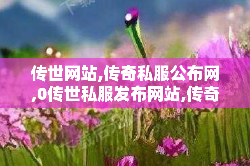 传世网站,传奇私服公布网,0传世私服发布网站,传奇私服公布网