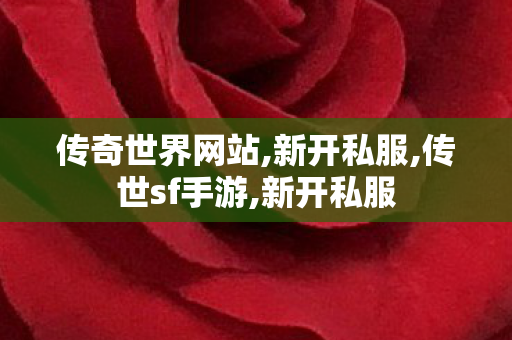 传奇世界网站,新开私服,传世sf手游,新开私服