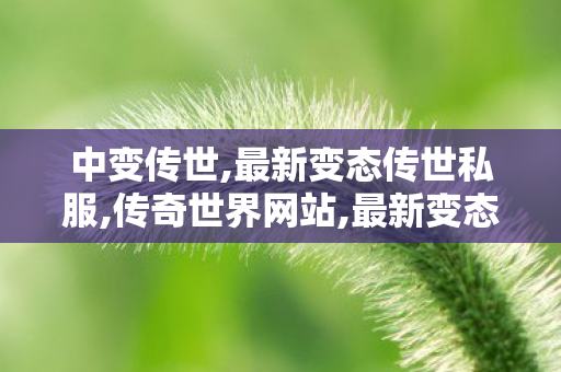 中变传世,最新变态传世私服,传奇世界网站,最新变态传世私服