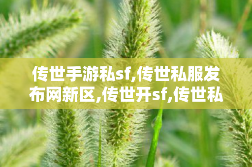 传世手游私sf,传世私服发布网新区,传世开sf,传世私服发布网新区