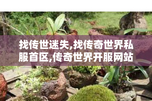 找传世迷失,找传奇世界私服首区,传奇世界开服网站,找传奇世界私服首区