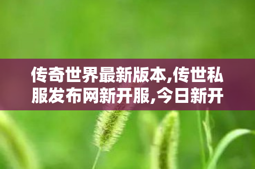 传奇世界最新版本,传世私服发布网新开服,今日新开传奇世界私发服网,传世私服发布网新开服