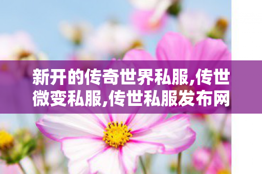 新开的传奇世界私服,传世微变私服,传世私服发布网,传世微变私服