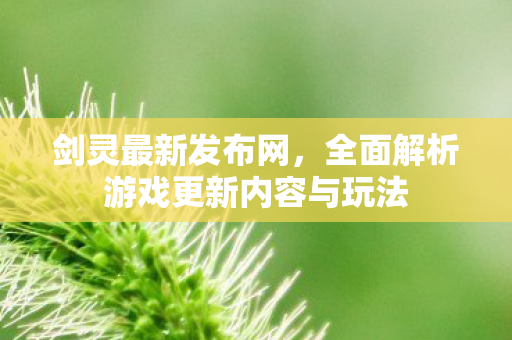 剑灵最新发布网，全面解析游戏更新内容与玩法
