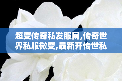 超变传奇私发服网,传奇世界私服微变,最新开传世私服,传奇世界私服微变