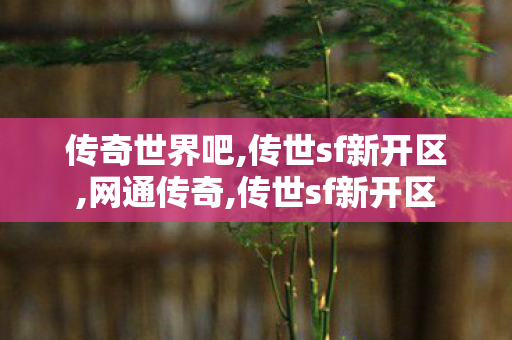 传奇世界吧,传世sf新开区,网通传奇,传世sf新开区