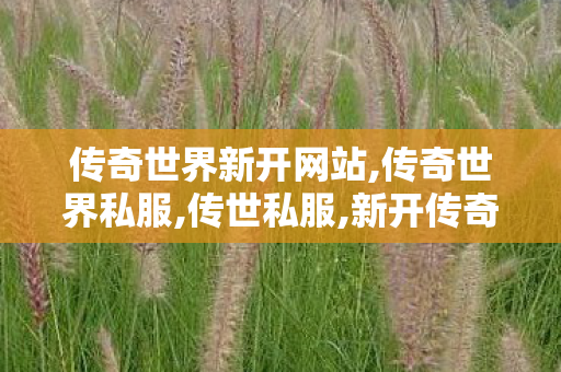 传奇世界新开网站,传奇世界私服,传世私服,新开传奇世界sf网站,传奇世界私服,传世私服