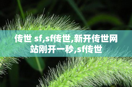 传世 sf,sf传世,新开传世网站刚开一秒,sf传世
